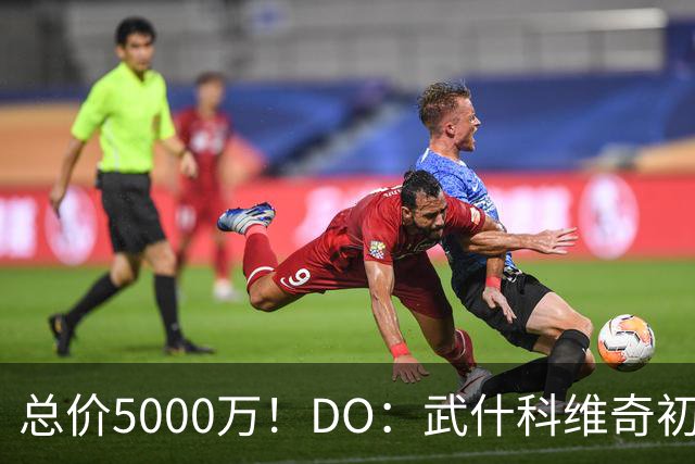 总价5000万！DO：武什科维奇初始转会费4600万镑，热刺有二转分成