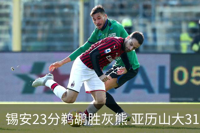 锡安23分鹈鹕胜灰熊 亚历山大31+10雷霆屠公牛